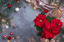 Christmas Red Poinsettia Potted Over Presents, Toys And Candies In Concrete Vintage Background With Sparkling Garland