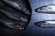 © FXavier - pescado