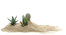Cactus In Pile Desert Sand Dune Isolated On White Background, Clipping Path