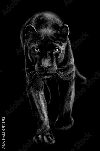 pantera-artystyczny-szkicowy-czarno-bialy-portret-chodzacej-pantery-na-czarnym-tle