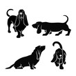 Basset hound dog set of isolated vector illustrations