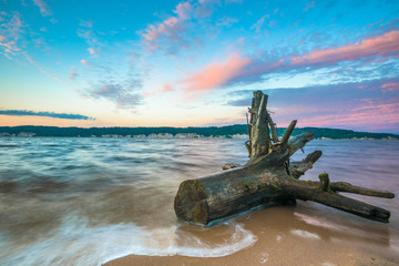 Wall Mural - old stump, snag on the river bank, beautiful colorful pink clouds at dawn, sunset.