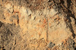 Sandfarbener, felsiger Hintergrund mit Struktur