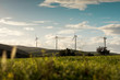 © MEM Studio/Stocksy - Wind turbines