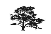 Lebanon Cedar Tree Silhouette. Trees And Nature Design Element. Isolated Vector Image