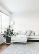© Sophia Hsin/Stocksy - Beautiful interiors of minimalist home with lamp, sofa, rug and plants