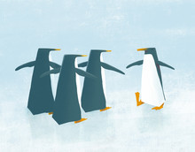 Penguin Yoga Class
