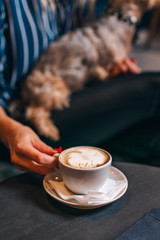 Girl drinking coffee with dog in caffe