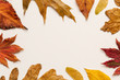 Top view of autumn leaves on a white canvas background with copy space