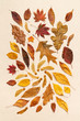 Top view of autumn leaves on a creme hand made textured paper background