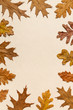 Top view of autumn leaves on a creme hand made textured paper background with copy space