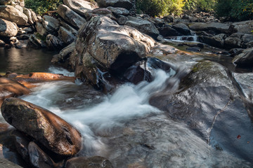 Wall Mural - Great Smoky Mountains National Park