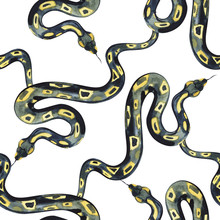 Watercolor Pattern Snake, Exotic Watercolor Background , Snake Halloween Background.