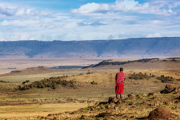 maasai tribe man looking over land
