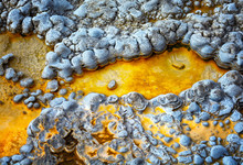 Calcium Deposits In The Upper Geyser Basin. Yellowstone National Park, Wyoming