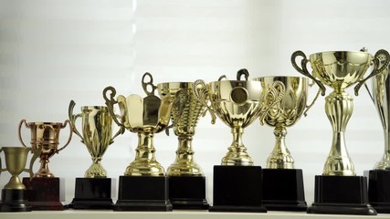 Poster - row of golden trophy by the window with paper blind