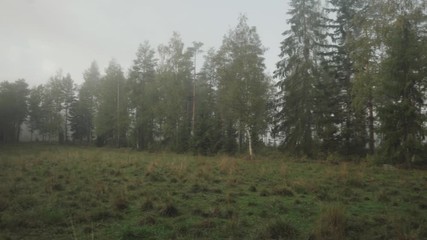 View to a field surrounded by trees.