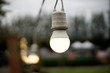 The bulb light in garden