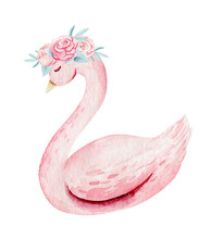 Baby Shower Kid Swan Watercolor Girl Design Cartoon Elements. Set Of Baby Pink Birthday Illustration. Newborn Party Invitation