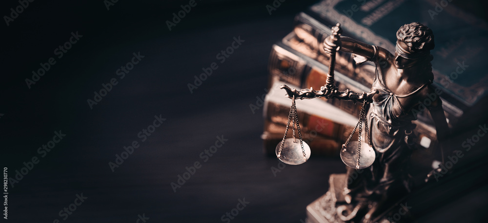 Lady justice. Statue of Justice in library - obrazy, fototapety, plakaty 
