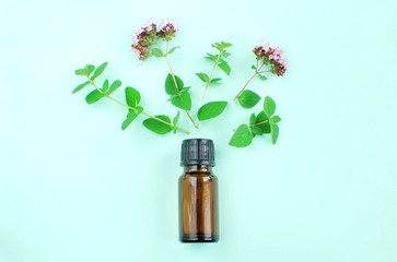 A bottle with oregano essential oil with fresh herbs, flat lay.