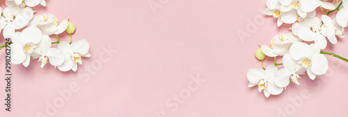 Fotografía Beautiful White Phalaenopsis orchid flowers on pastel pink background top view flat lay