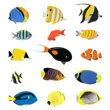 Isolated Sea Fish. Set Of Aquarium Cartoon Fishes. Varieties Of Ornamental Popular Color Fish. Flat Design Fish. Vector Illustration, Fishes. Fish Collection. Aquarium Modern Flat Fishes.