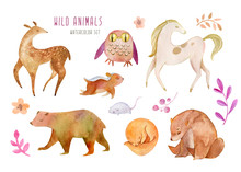 Set Of Cute Watercolor Animals. Characters Are Ideal For Children's Rooms, Prints. Isolated From White Background