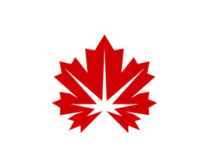 Wall Mural - Canadian Maple leaf Logo, Maple Leaf Illustration Vector Design