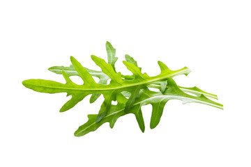 Arugula leaves isolated on white background.