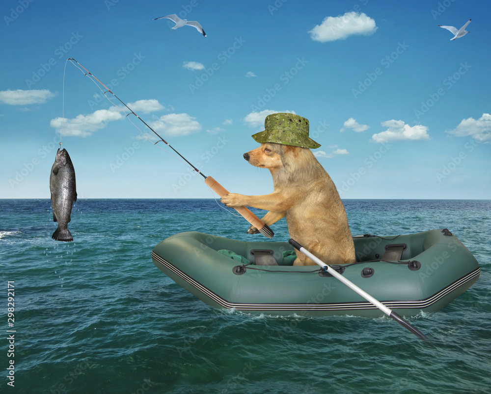 dog with fishing pole Pet Supplies : KOXXUD Flirt Dogs, Chase Toy Squeakers Inside, Dog Pole Toy for Large Medium Small Dogs to Keep The Puppy Entertained and Physically Exhausted, Ball+Beaver The Ravix rod vs a