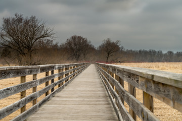  Boardwalk through a nature preserve