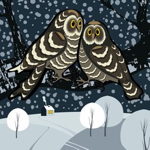 Two Owls Winter Bird House Vector Illustration.