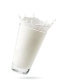 Glass of milk with splashes flies in the air on a white background, isolated.