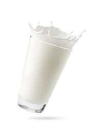glass of milk with splashes flies in the air on a white background, isolated.