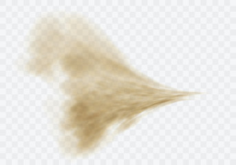 Wall Mural - desert sandstorm, brown dusty cloud or dry sand flying with gust of wind, explosion realistic textur