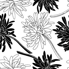 Wall Mural - Vector Chrysanthemum floral botanical flower. Black and white engraved ink art. Seamless background pattern.