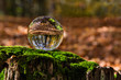 szklana kula w lesie, piękny krajobraz, makro