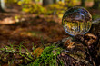 szklana kula w lesie, piękny krajobraz