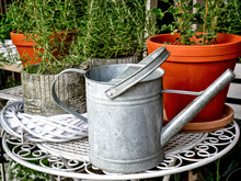  Autumn In The Garden - Watering Can And Rosemary