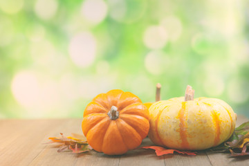 Wall Mural - autumn thanksgiving background