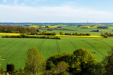 Wall Mural - A Scanian (Southern Sweden) landscape filled with fields of green, gold and yellow taken in Billebjer, Lunds kommun, Sweden