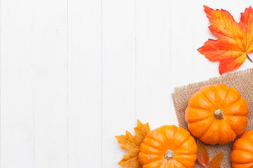Wall Mural - autumn thanksgiving colorful setting background