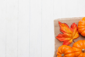 Wall Mural - autumn thanksgiving colorful setting background
