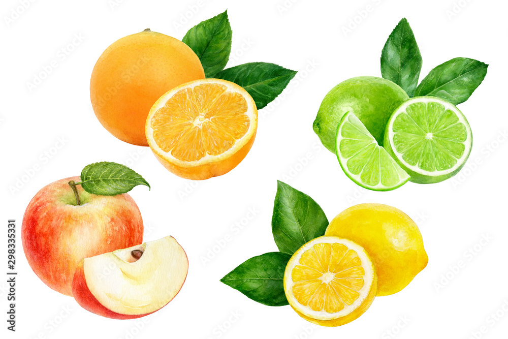Apple orange lemon lime set composition watercolor isolated on white ...