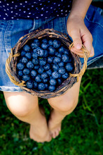 Little Girl With Wicker Basket Of Blueberries