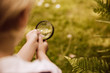© Mareen Fischinger/Westend61 - Boy looking through magnifier on fern leaf