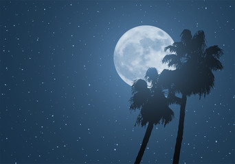 nice moon and palms