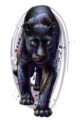 Wall Mural - panther. artistic, sketchy, color portrait of a walking panther on a white background in watercolor 