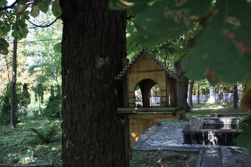 Wall Mural - Bird house on a tree